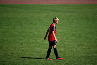 开云体育在线-JDG横扫DRX，Clid团战一打五半决赛3:0