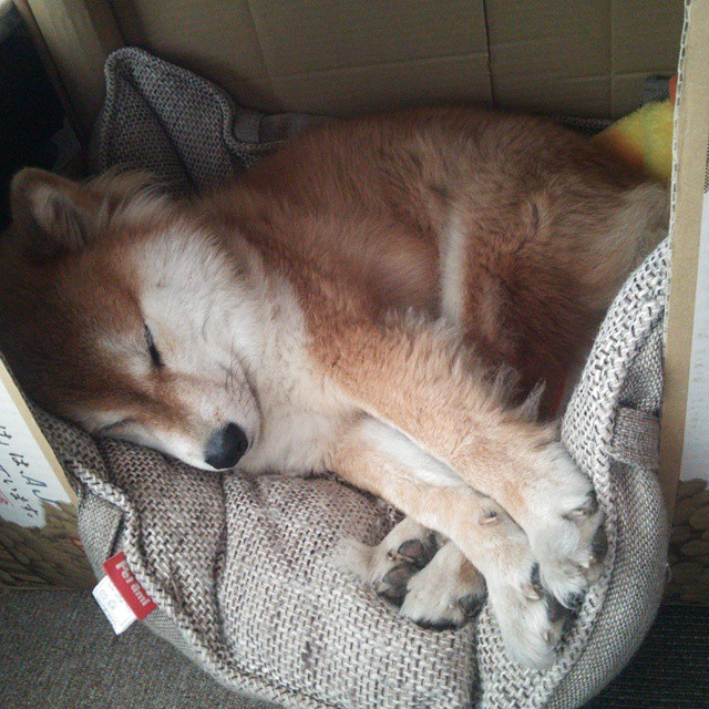 暗夜之光，富安健洋一锤定音，丹麦惊险突围背后的亚洲力量