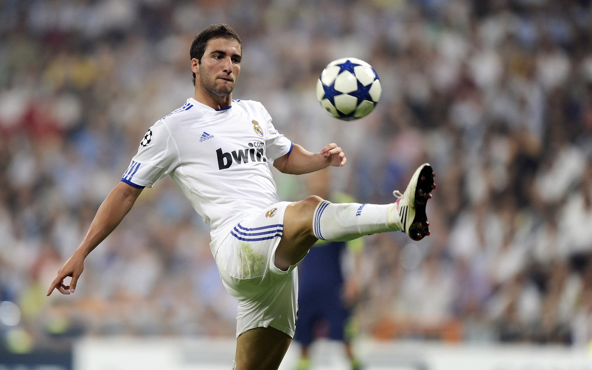 开云体育官网-爆冷之夜！委内瑞拉欧冠决赛级表现击溃比利时，南美黑马改写足球认知